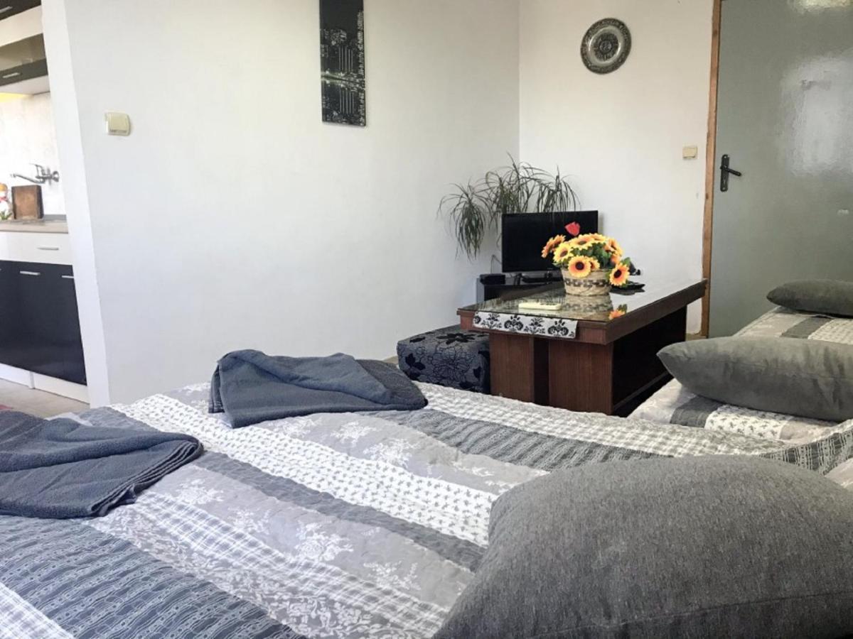 Day And Night Apartment Veliko Tarnovo Exterior photo